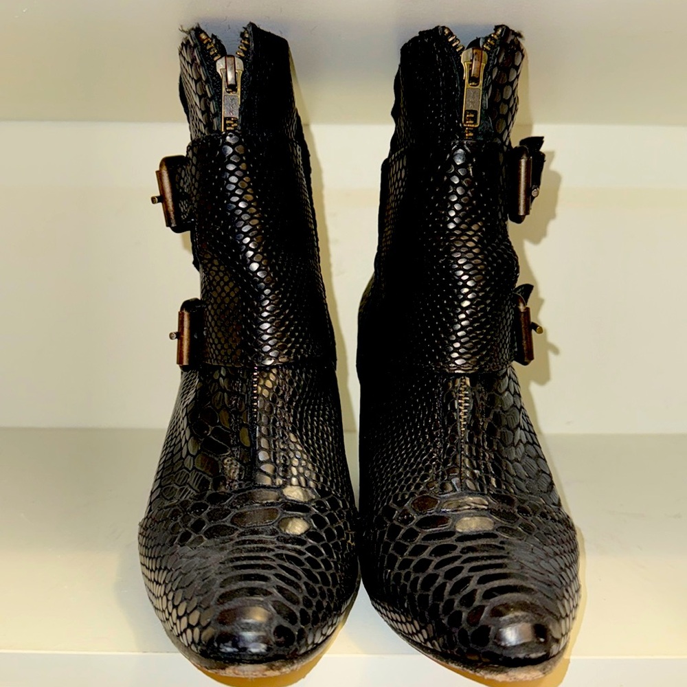 Black snake Freebird Joey